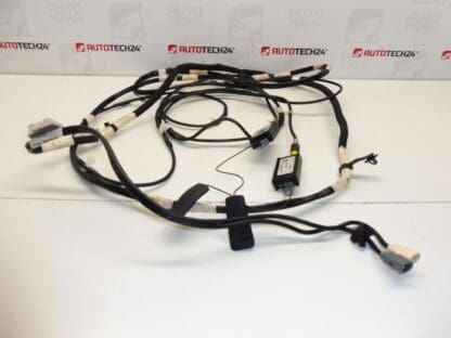 Antenna line impedance adapters Citroen Peugeot 1401099880 1499494080 1499493080