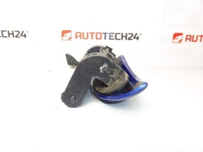 Door handle right rear Peugeot 206+ KGS 9101N9