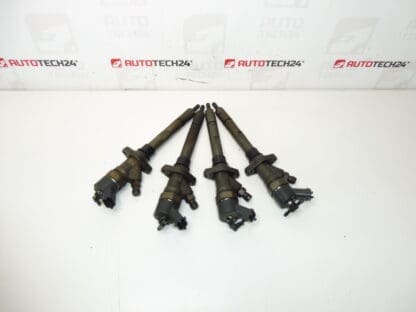 Injection set Bosch 2.0 and 2.2 HDI 0445110036 mileage 182000 km