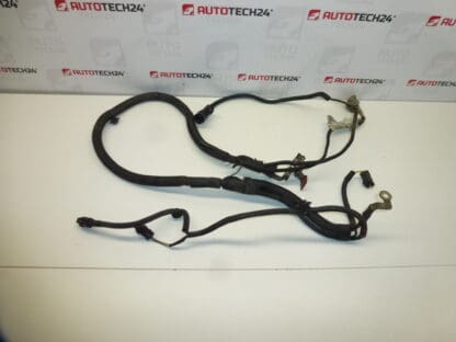 Harness Citroën Peugeot 2.0HDI RHR 9663075780 5642HF 5642JC