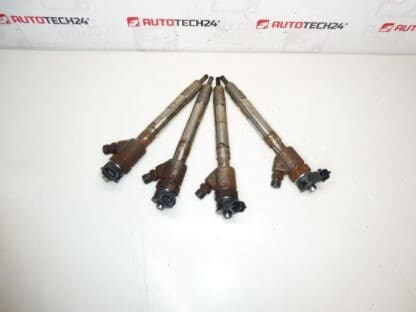 Injector kit Bosch 1.5 HDI 0445110955 9828959880