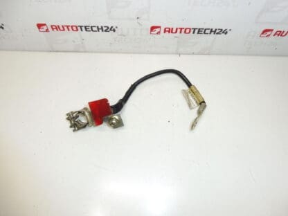 Connection cable + pole in Citroën Peugeot engine 1486450080 5642Y2