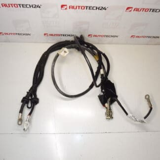 Connection cable + pole in engine Citroën Peugeot 1401159880 1400812780