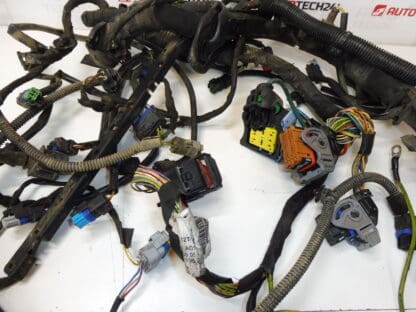 Citroën Peugeot 2.2 HDI 9658502380 harness