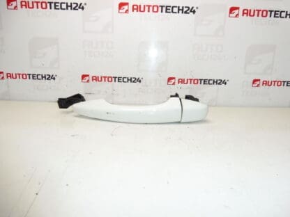 Citroën Peugeot DS EWP 9101LW door handle