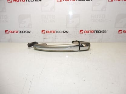 Citroën 9101HS door handle door