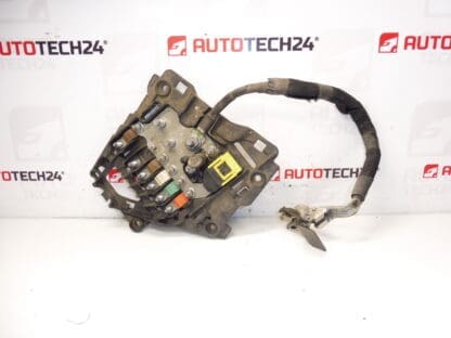 Citroën Peugeot 9675123880 fuse module