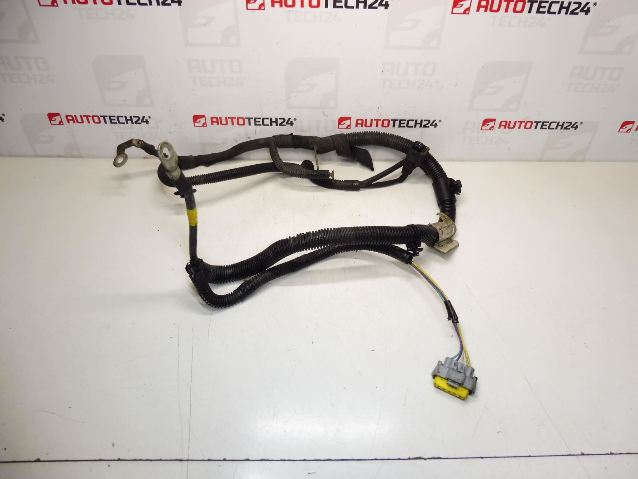 Harness positive Citroën Peugeot 2.0HDI 9688405380 5642SX